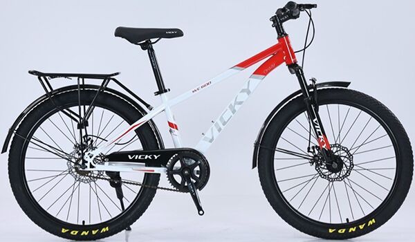 Xe đạp địa hình thể thao Vicky VC600 2024